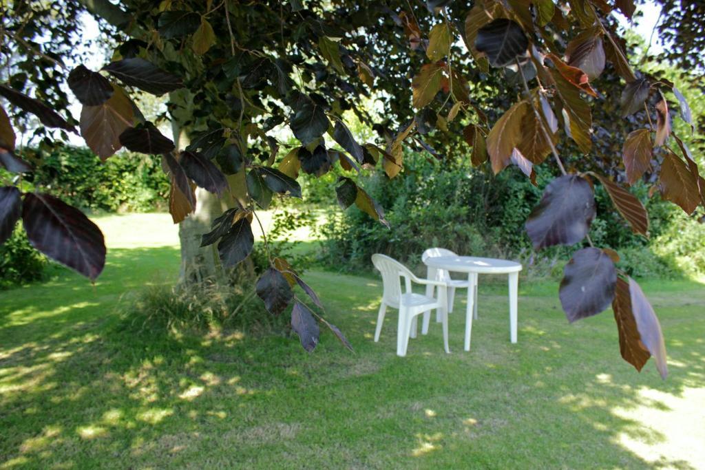 Hojgard ApartmentsNykøbing Falster エクステリア 写真